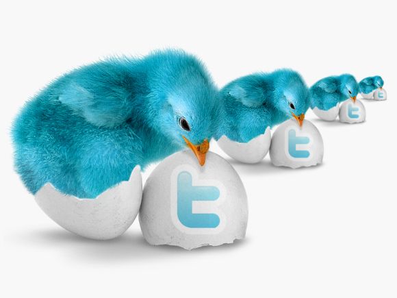 twitter_icones